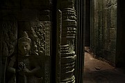 Templo Ta Prohm, Angkor, Camboya