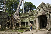 Templo Ta Prohm, Angkor, Camboya