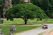 Angkor, Angkor, Camboya