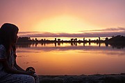 Templo Angkor Wat, Angkor, Camboya