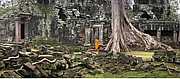 Templo Ta Prohm, Angkor, Camboya