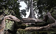 Templo Ta Prohm, Angkor, Camboya