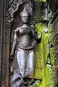 Templo Ta Prohm, Angkor, Camboya