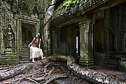 Templo Ta Prohm, Angkor, Camboya