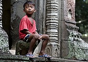 Templo Ta Prohm, Angkor, Camboya