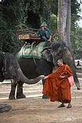 Objetivo EF 100 Macro
Camboya
ANGKOR
Foto: 15288