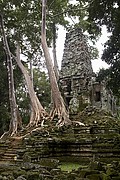 Templo Ta Prohm, Angkor, Camboya