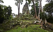 Templo Ta Prohm, Angkor, Camboya