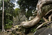 Templo Ta Prohm, Angkor, Camboya