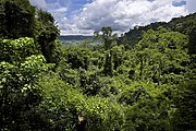 Kbal Spean, Angkor, Camboya