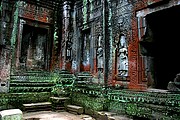 Templo Ta Prohm, Angkor, Camboya