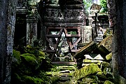 Templo Ta Prohm, Angkor, Camboya