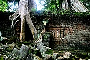 Templo Ta Prohm, Angkor, Camboya