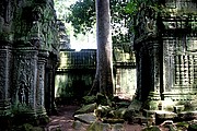 Templo Ta Prohm, Angkor, Camboya