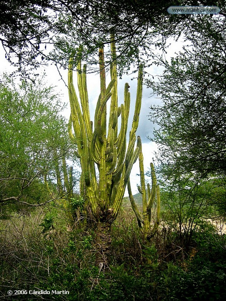 Baja California
Baja California Sur