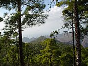 Reserva de Inagua, Gran Canaria, España