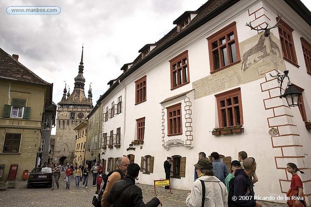 Sighisoara
Sighisoara-Torre del Reloj
Transilvania