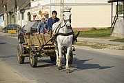 Objetivo 70 to 200
Transilvania-Transporte Tradicional
Transilvania
SINAIA
Foto: 14081