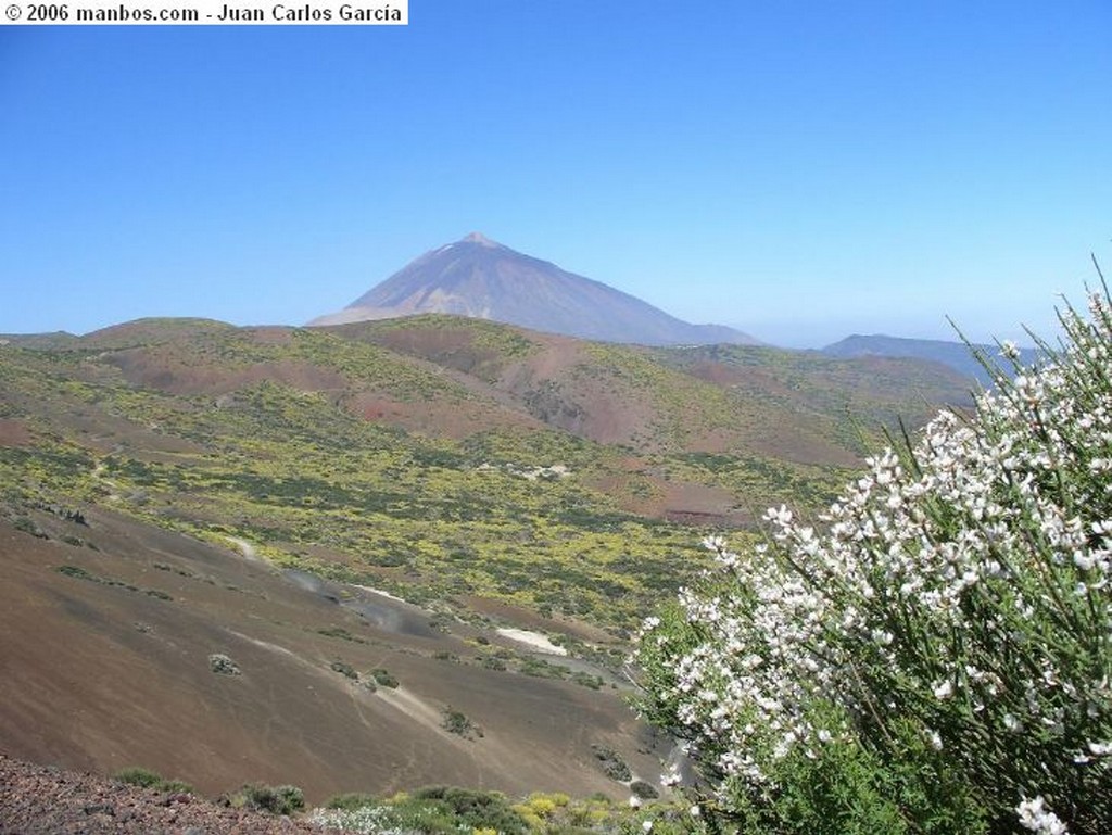 Tenerife
El Rosario
Canarias