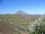 Tenerife
Teide con retama en flor
Canarias