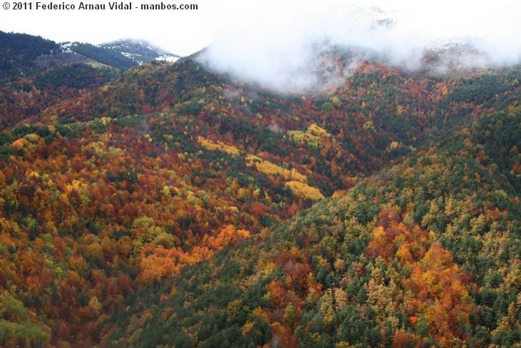 Ordesa
Otoño en Ordesa
Huesca