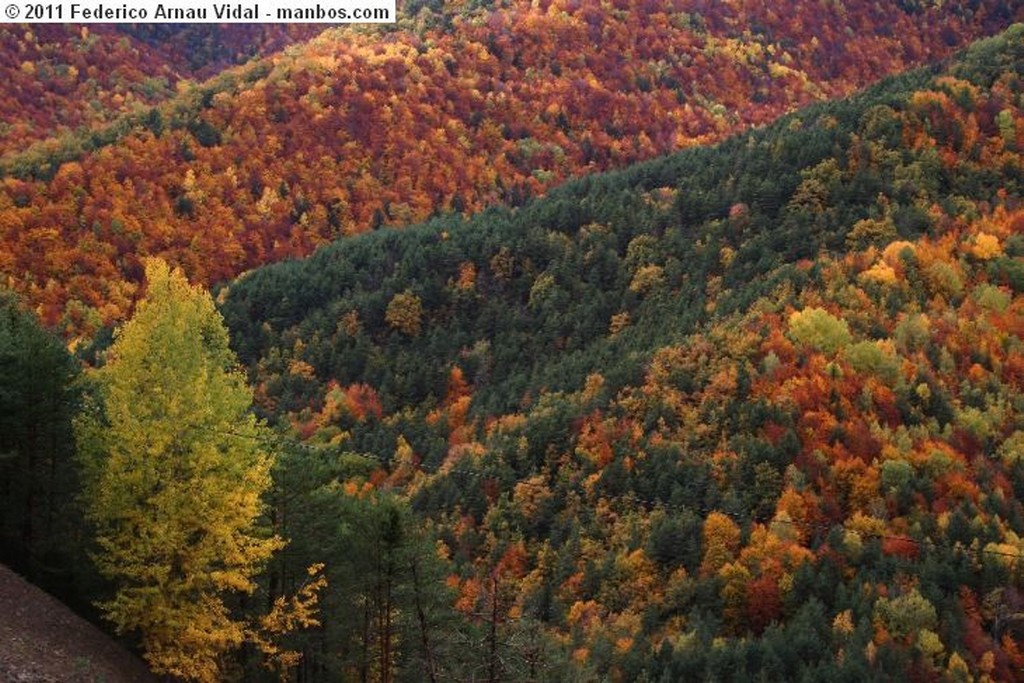 Ordesa
Otoño en Ordesa
Huesca