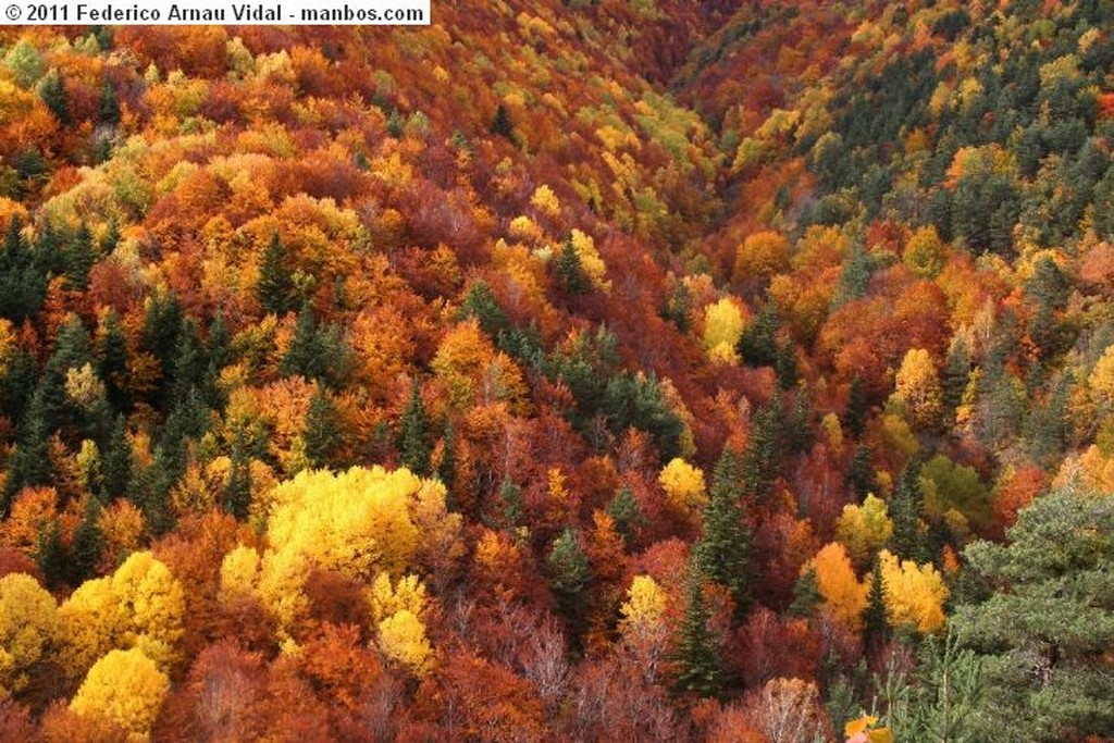 Ordesa
Otoño en Ordesa
Huesca