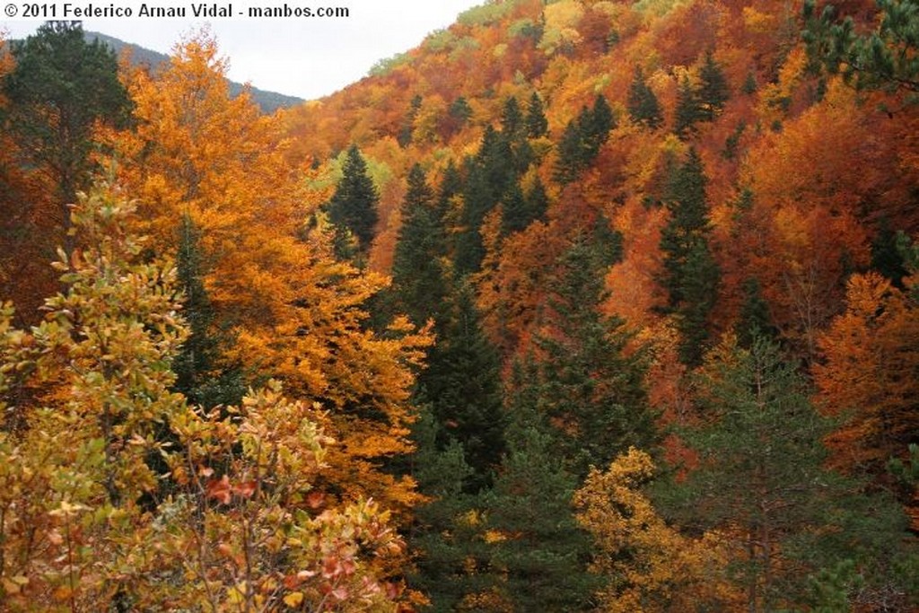 Fanlo
Otoño en Ordesa
Huesca