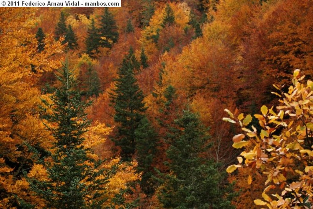 Fanlo
Otoño en Ordesa
Huesca