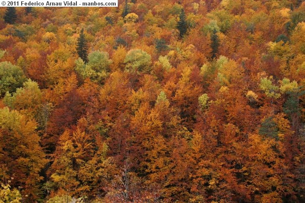 Fanlo
Otoño en Ordesa
Huesca