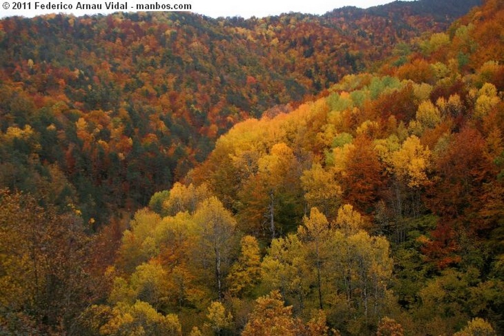 Fanlo
Otoño en Ordesa
Huesca