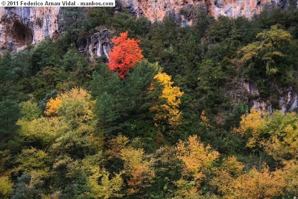 Ordesa
Otoño en Ordesa
Huesca