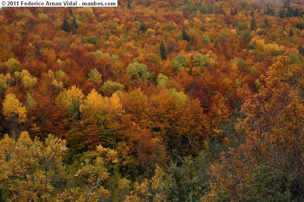 Fanlo
Otoño en Ordesa
Huesca