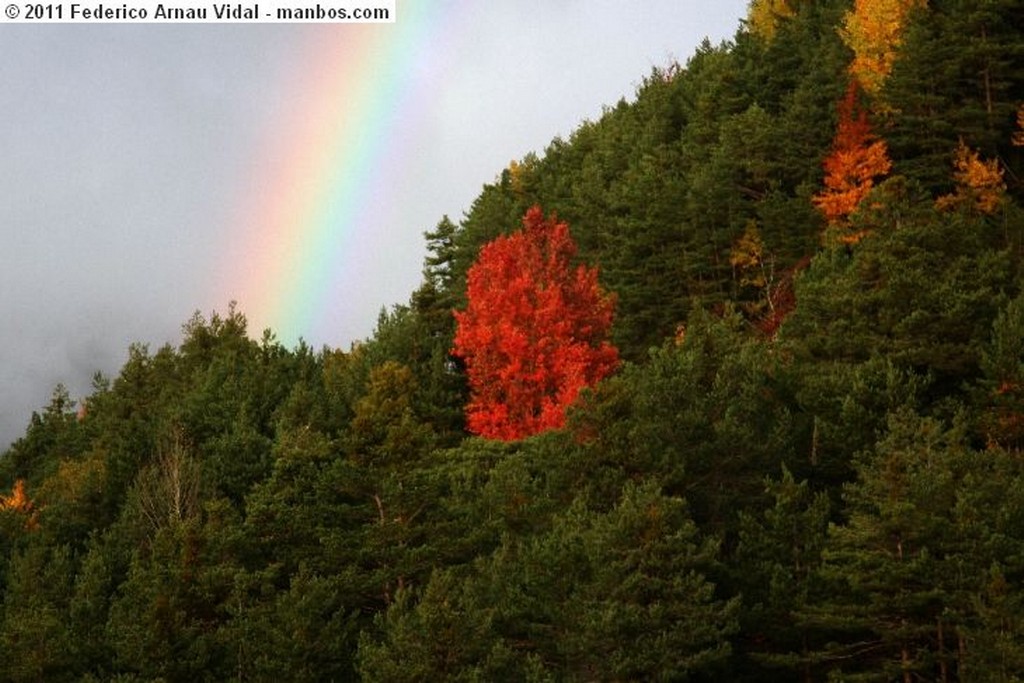 Ordesa
Otoño en Ordesa
Huesca