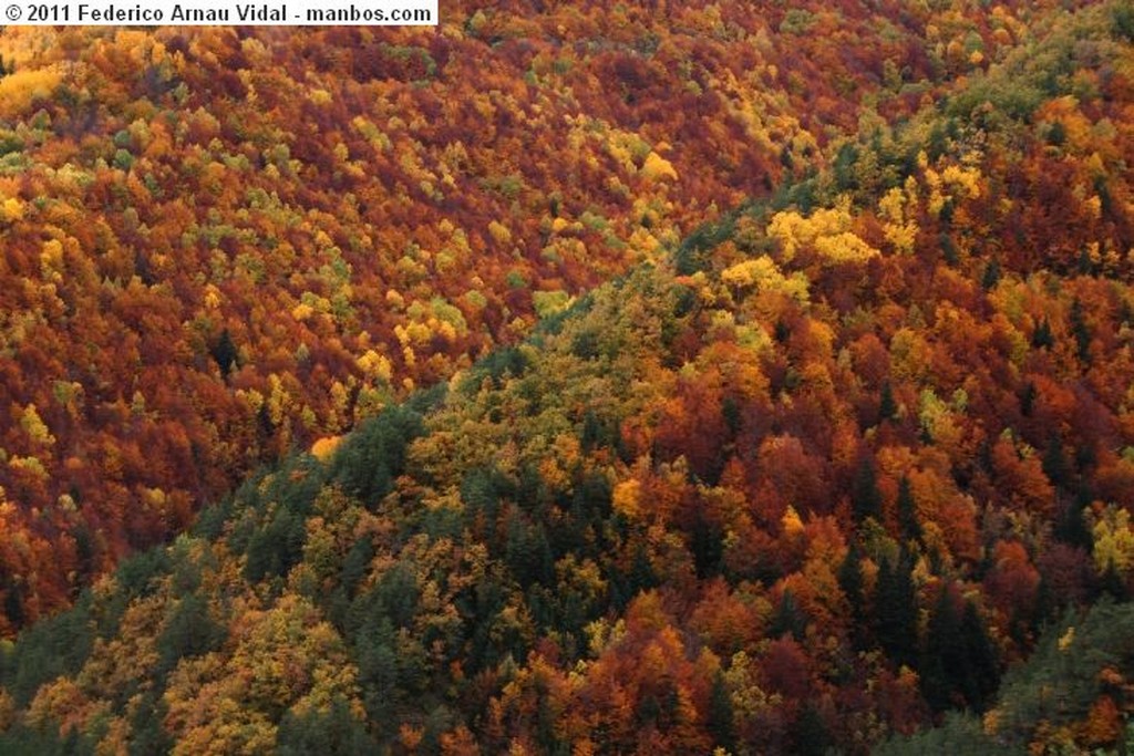 Ordesa
Otoño en Ordesa
Huesca