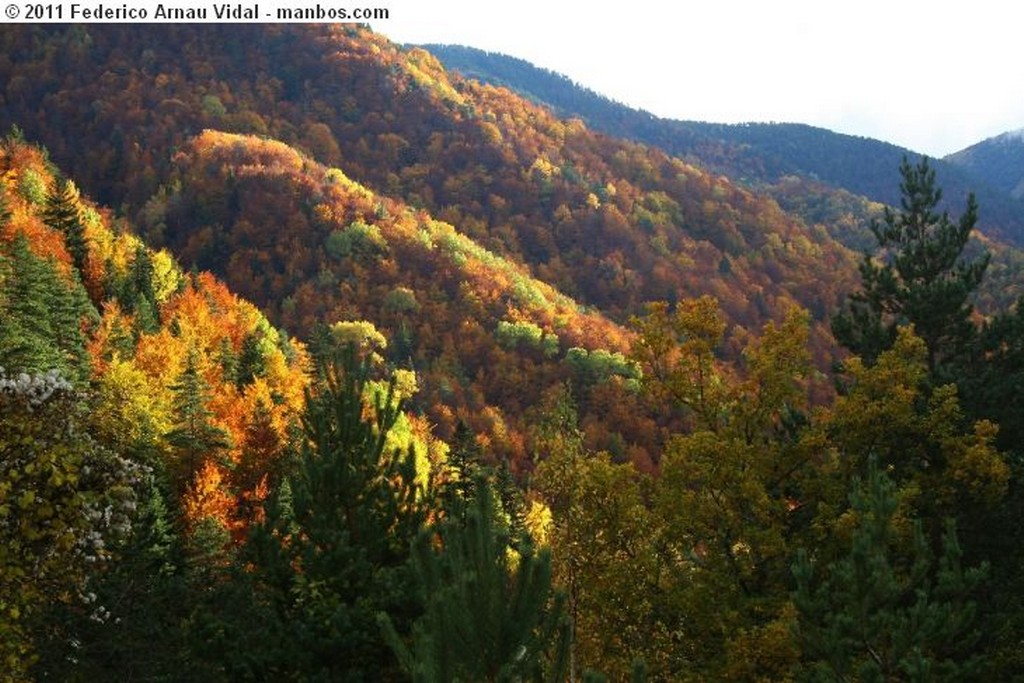 Ordesa
Otoño en Ordesa
Huesca