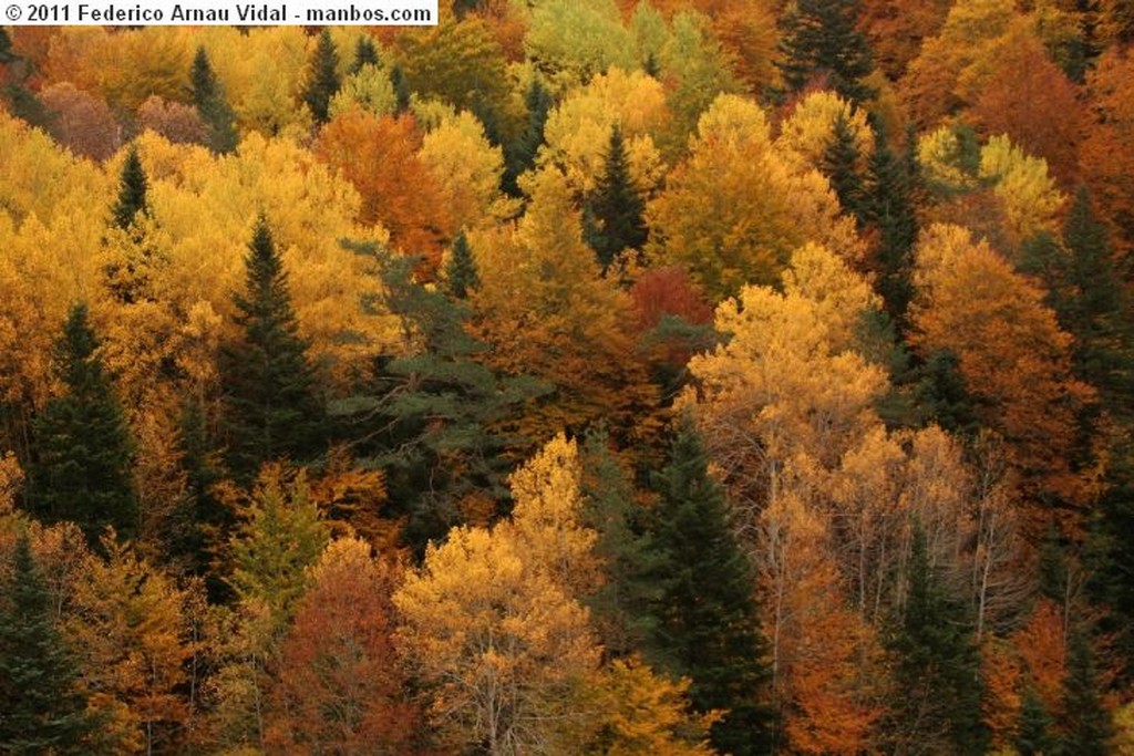 Añisclo
Otoño en Ordesa
Huesca