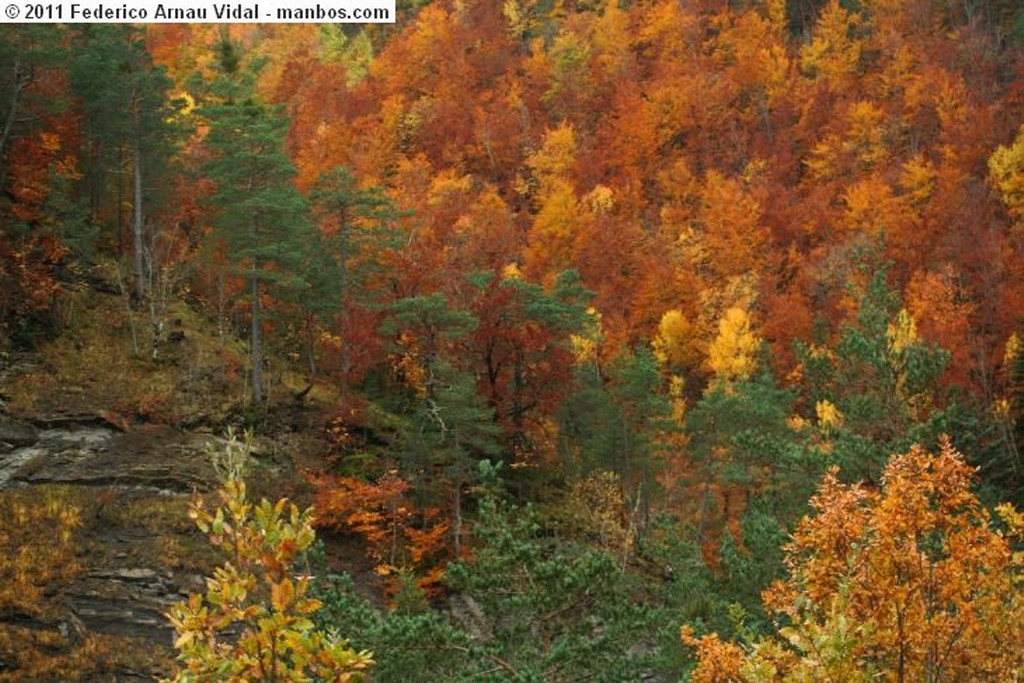 Fragen
Otoño en Ordesa
Huesca