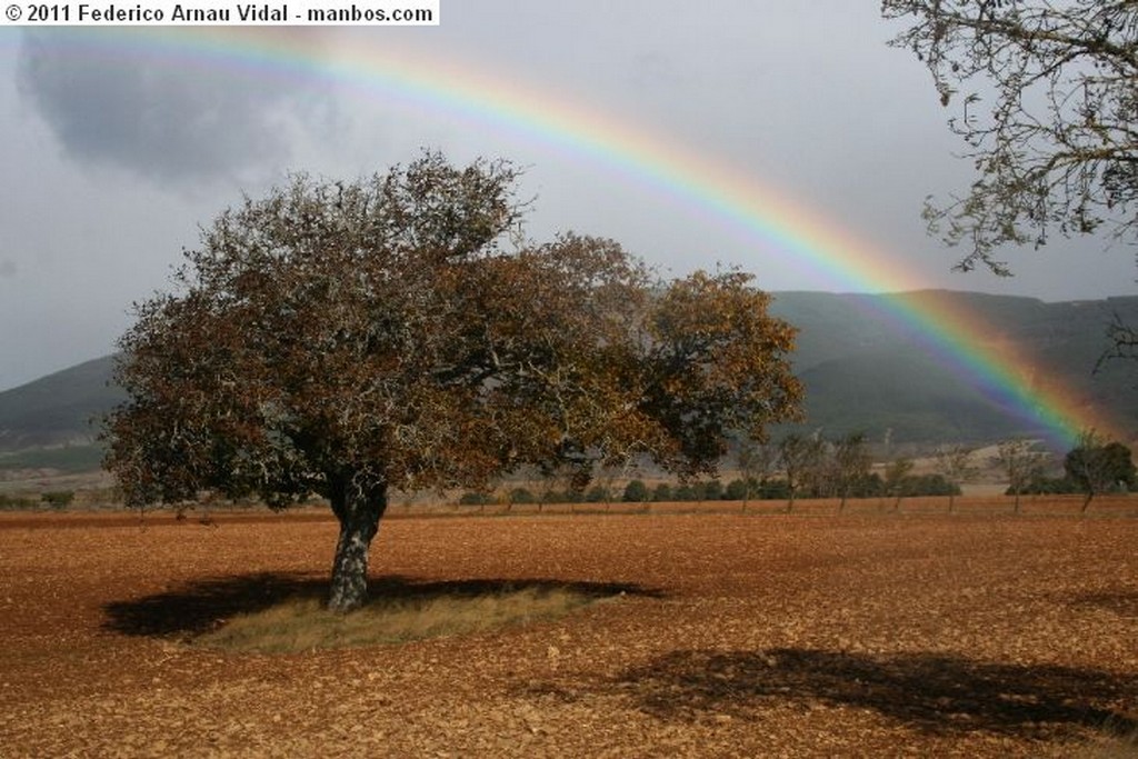 Bujaruelo
Otoño en Ordesa
Huesca