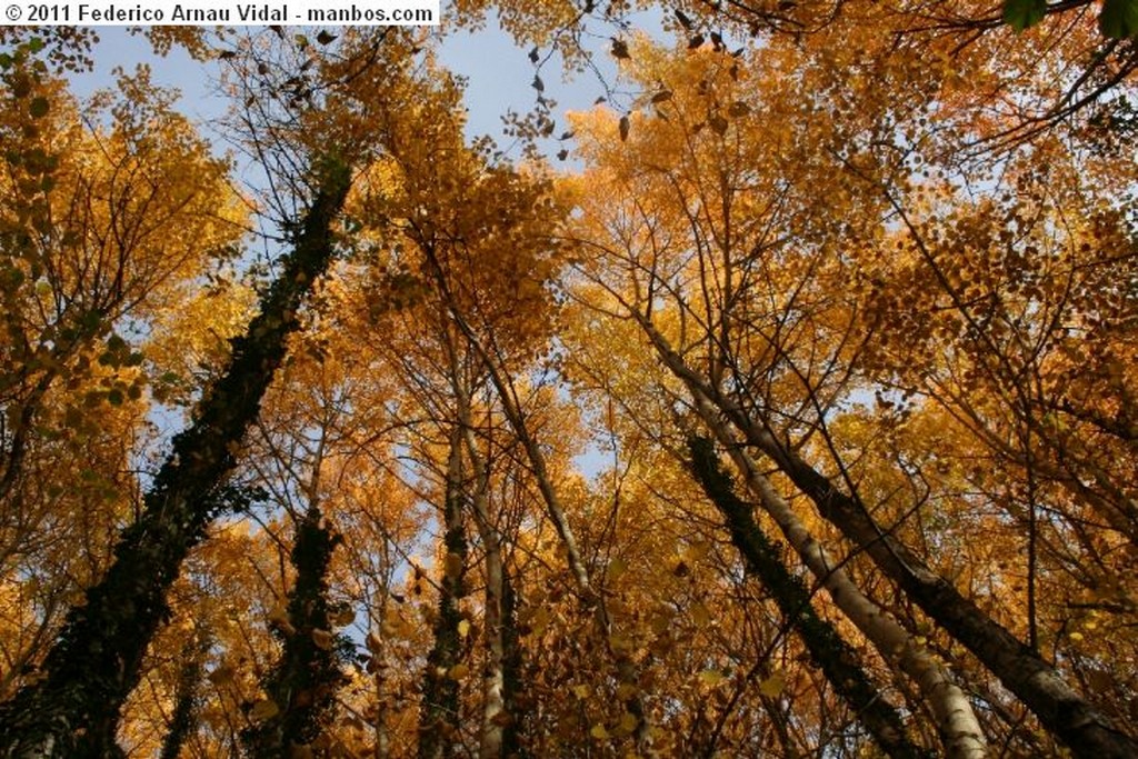 Ordesa
Otoño en Ordesa
Huesca