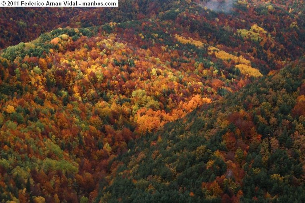 Ordesa
Otoño en Ordesa
Huesca