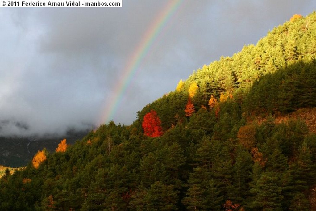 Ordesa
Otoño en Ordesa
Huesca