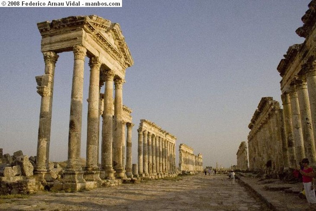 Apamea
Cardo Maximo
Siria