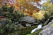 Bujaruelo, Bujaruelo, España