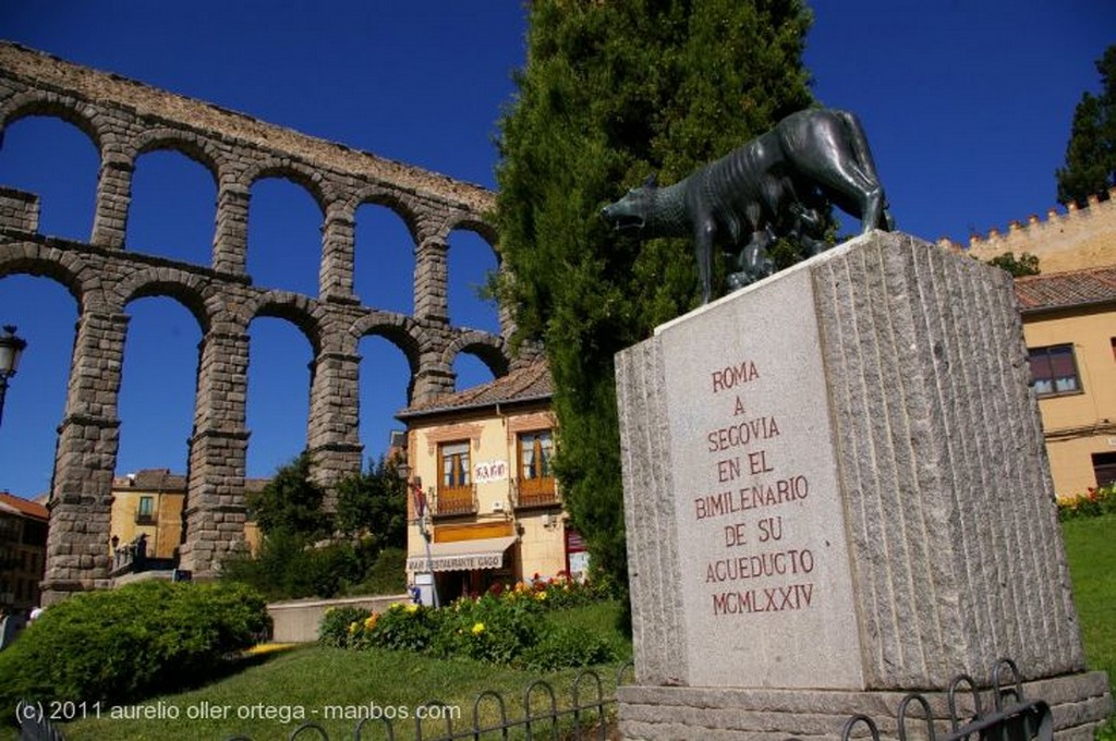 segovia
Loba Capitolina
Segovia