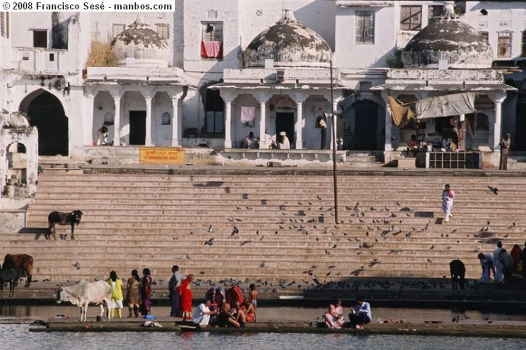 Udaipur
Palacio Real  - Udaipur
Rajastan