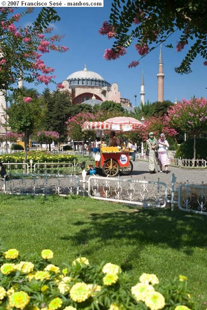 Estambul
Mezquita Azul  - Estambul
Estambul