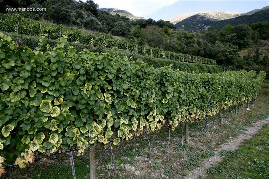 Andorra
Casa Beal vinos de alta montaña
Andorra