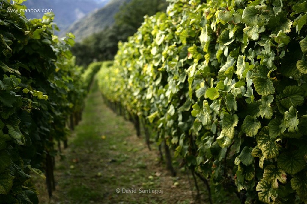 Andorra
Casa Beal vinos de alta montaña
Andorra