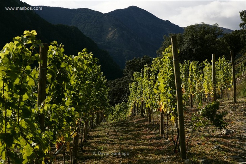 Andorra
Casa Beal vinos de alta montaña
Andorra